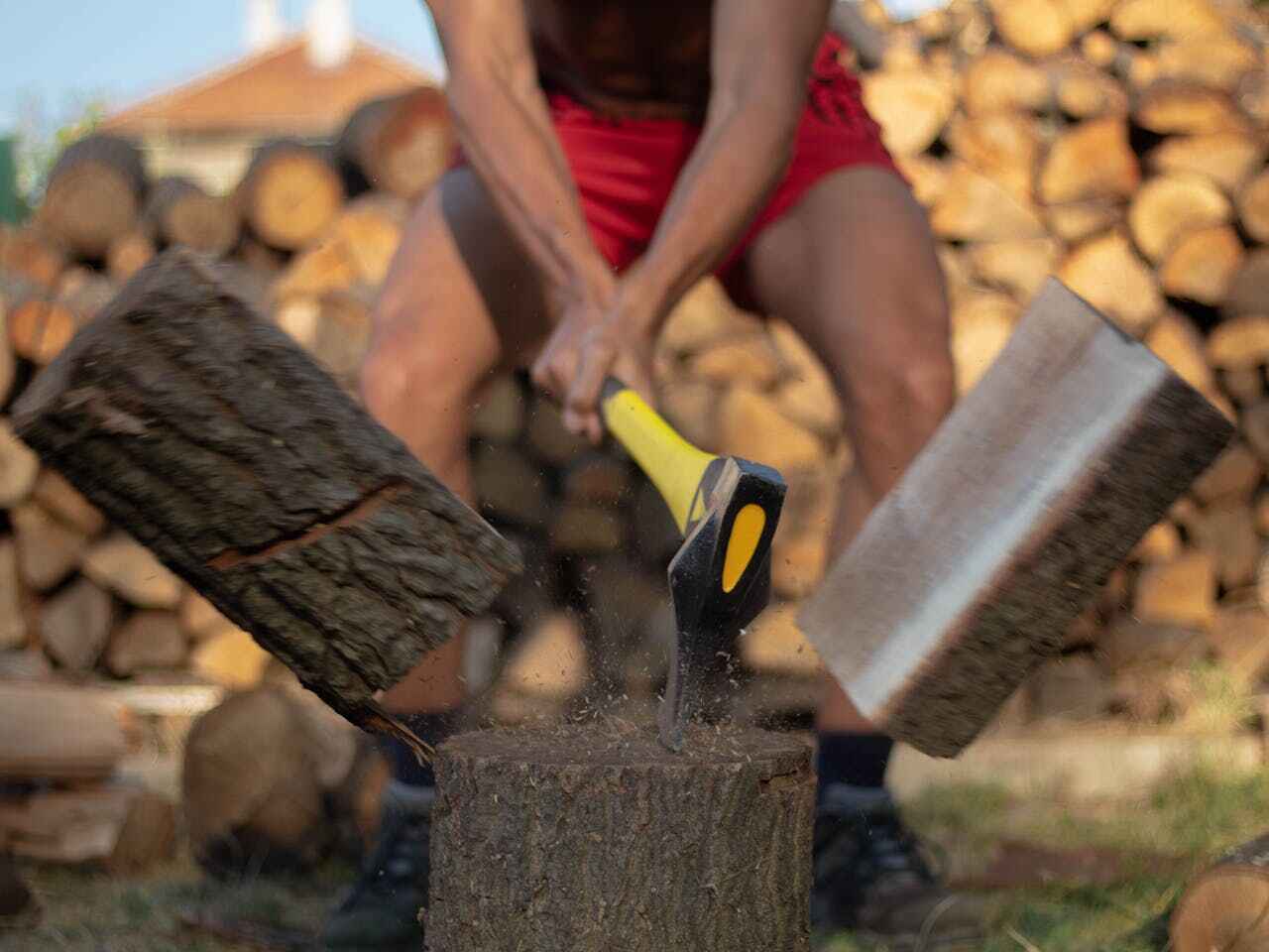 Tree Removal for Businesses in South Dennis, NJ